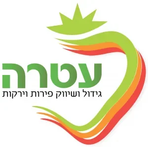 לוגו לקוח 5